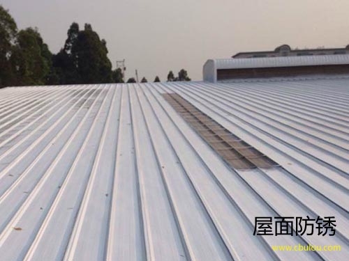金屬屋面防腐防銹，惠州防腐防銹公司，惠州防水補漏公司 m.zzmarry.cn